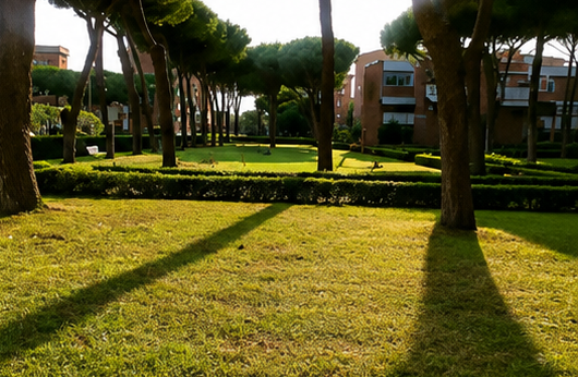 Un prato soleggiato del parco con alti alberi che proiettano lunghe ombre accanto ai palazzi residenziali