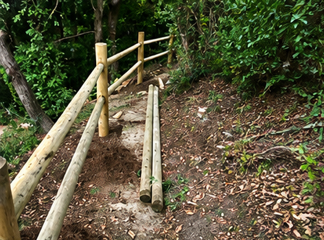 Corrimano in legno accanto a uno stretto sentiero sterrato che si snoda attraverso la fitta vegetazione di una foresta.