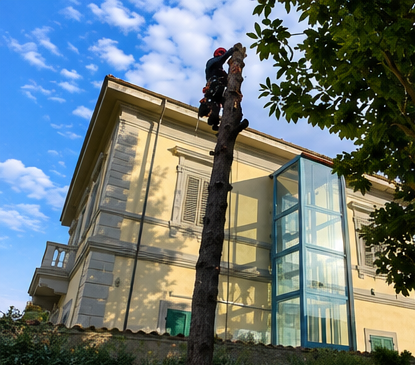 Un operaio pota un albero alto accanto a un edificio giallo con una torre ascensore in vetro.
