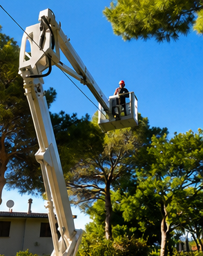 Un operaio su una piattaforma aerea pota degli alberi accanto a un edificio sotto un cielo azzurro brillante.