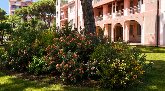 Giardino paesaggistico con arbusti fioriti e palme di fronte a un condominio rosa.