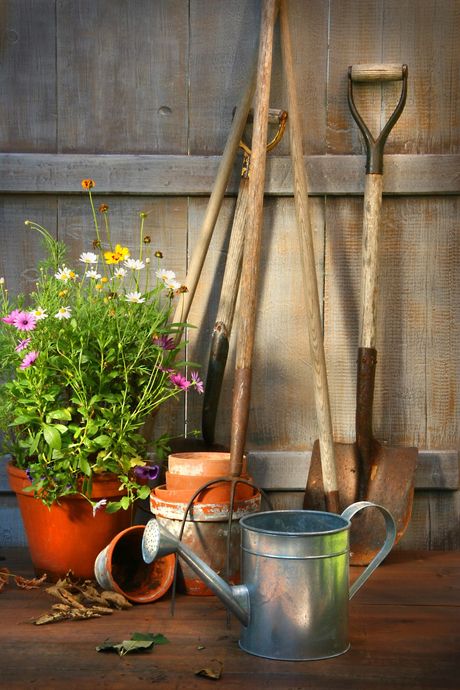 Attrezzi da giardino, annaffiatoio e vasi di fiori disposti contro una staccionata di legno.