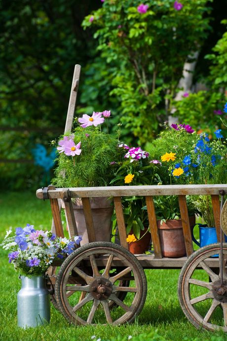 Un carretto di legno colmo di fiori in un giardino, con fioriture colorate e un annaffiatoio nelle vicinanze.