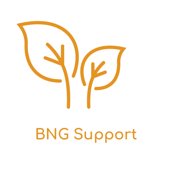 BNG Support logo with orange leaf icon and text on white background