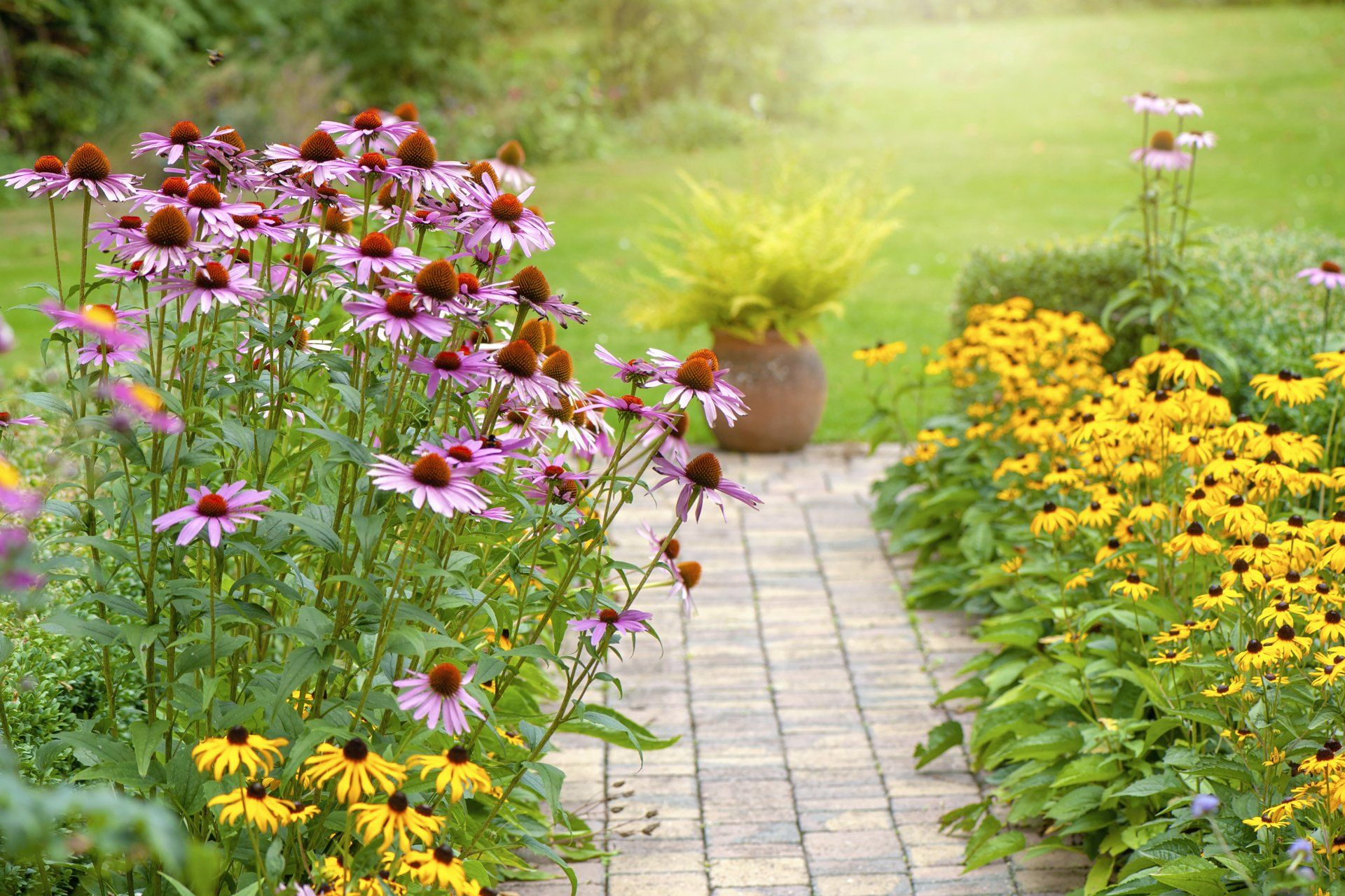 Paths and Walkways Matthews, NC — Decorative Creations, Inc.