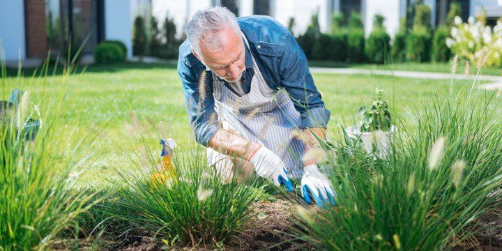 Man Landscaping — Matthews, NC — Decorative Creations Inc Man Landscaping — Matthews, NC — Decorative Creations Inc
