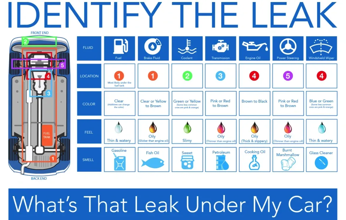 A diagram of a car with the words identify the leak what 's that leak under my car