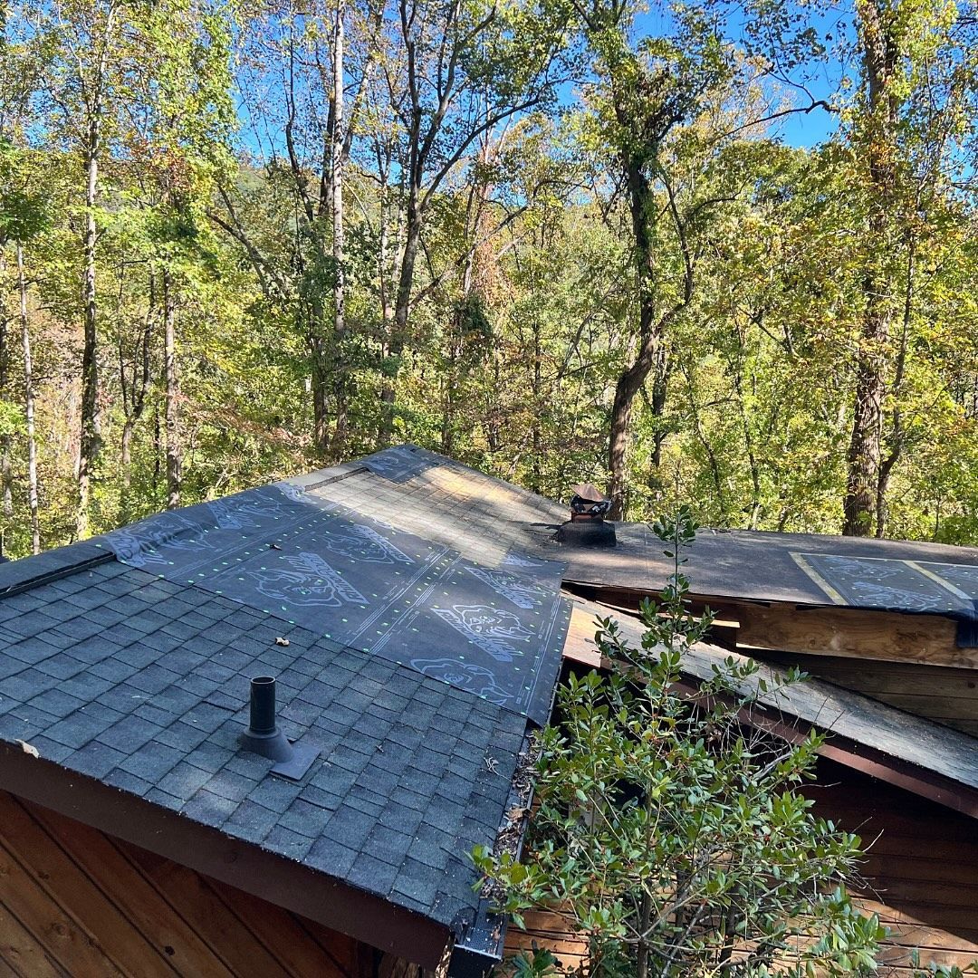 Dark shingled roof with a damaged section amid trees under a blue sky