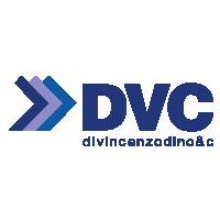 DVC - Icona