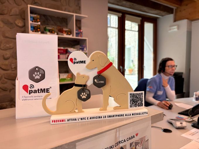 Un veterinario in camice blu esamina la bocca di un piccolo cane marrone su un lettino da visita in un ambiente clinico.