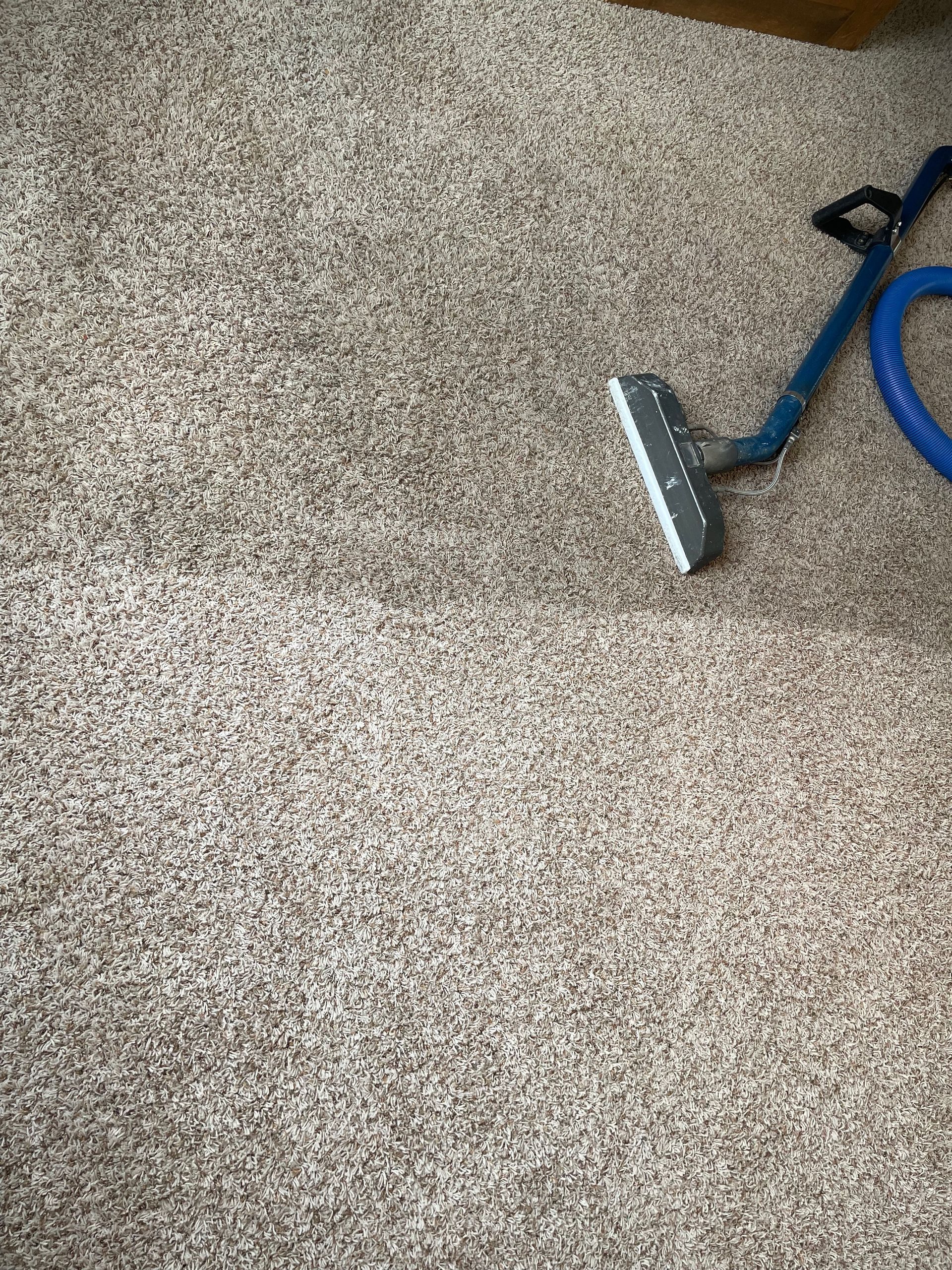 A vacuum cleaner is being used to clean a carpet.