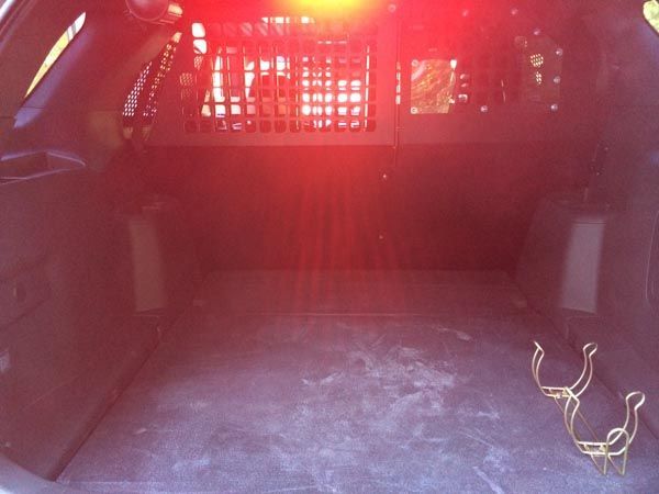 Inside of an empty black police car trunk with a metal grate and red emergency lights.