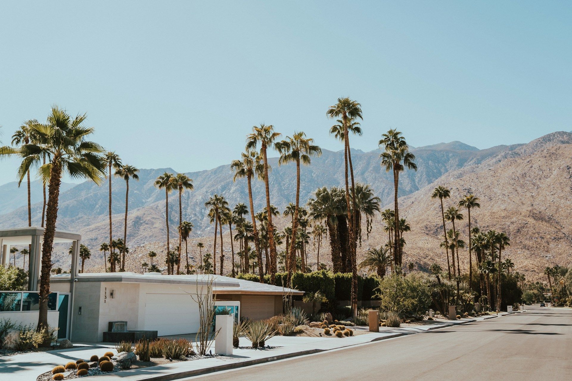 Desert street with tall palm trees, a white building, and mountains under a clear sky.