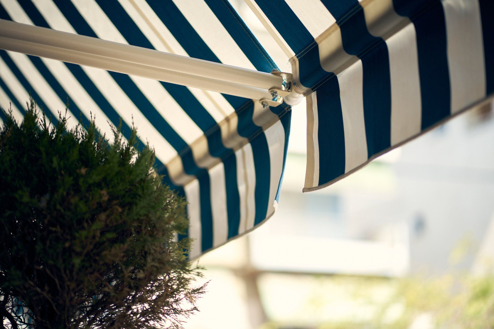 Blue and white striped awning partially shading a green bush.