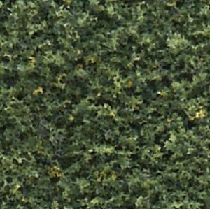 Close-up of dense green foliage with small yellow flowers