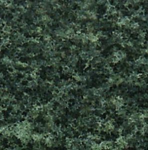Close-up of dense green foliage with a mottled, leafy texture