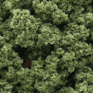 Dense green tree canopy viewed from above