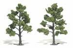 Two leafy green trees on white background, side by side, one darker and one lighter