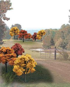Autumn trees along a winding path in a park, with colorful foliage and a fence on the right.