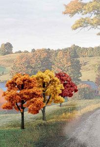 Colorful autumn trees beside a winding country road with rolling hills in the background