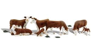 Brown and white cows and calves standing and lying on a white background
