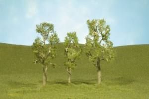 Three small trees on a grassy hill under a blue sky