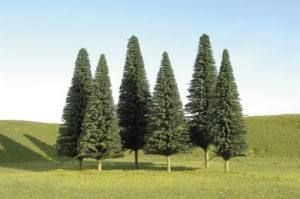 Five evergreen trees standing on a grassy hill under a bright sky