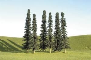 Five tall evergreen trees on a grassy hill under a pale blue sky