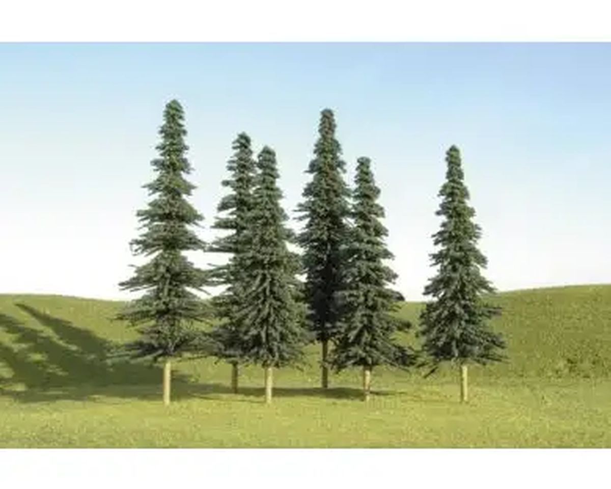 Five tall evergreen trees on a grassy hillside under a clear blue sky.