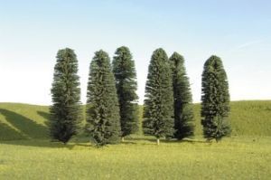 Five tall trees on a grassy hillside under a clear blue sky