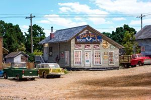 Small rural store with vintage signs, parked green pickup and yellow car, and a red truck in front.
