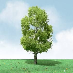 A solitary green tree on a grassy field under a blue sky with clouds