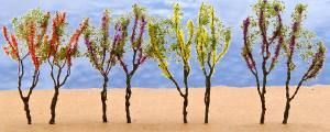 Row of slender trees with green and red leaves in a sandy desert under a clear blue sky