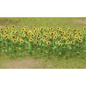 A row of yellow sunflowers blooming in a green field under soft light