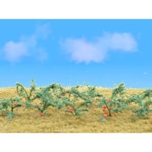 Blue sky with soft clouds over a grassy field dotted with low green plants and red flowers