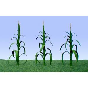 Three young corn plants growing in a green field under a blue sky
