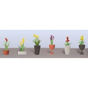 Six small potted flowers in varied colorful pots lined up on a shelf