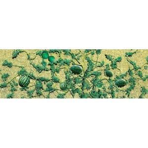 Green striped gourds and leaves scattered across a sandy background