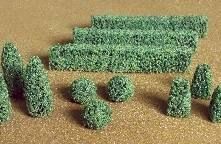 Rows of green hedges and shrubs arranged on sandy ground.