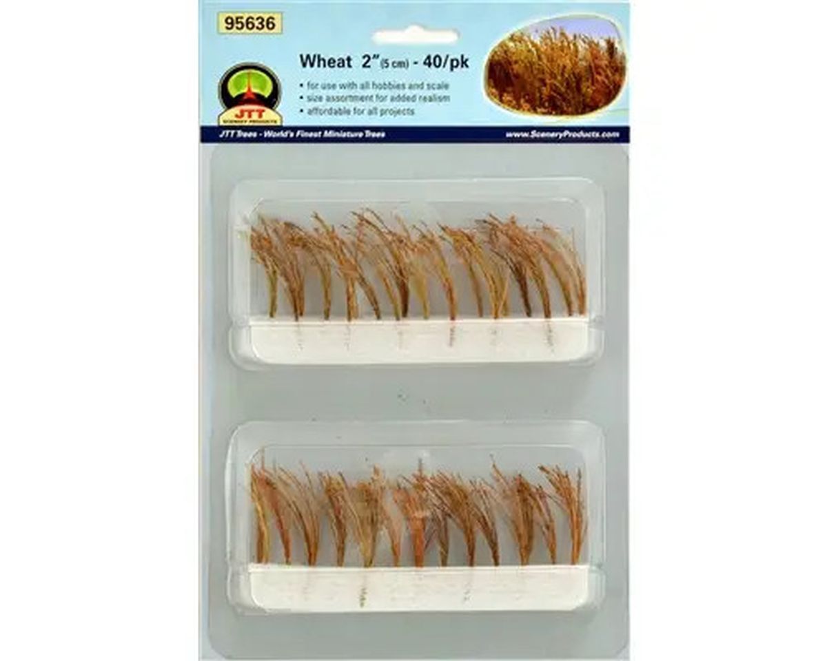 Packaged wheat grass seeds in two clear trays on a blue-backed retail card.