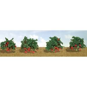 Row of green berry bushes with red berries in a field under a pale sky
