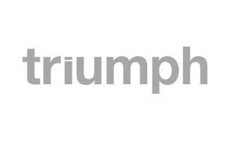 Gray lowercase word “triumph” on a white background