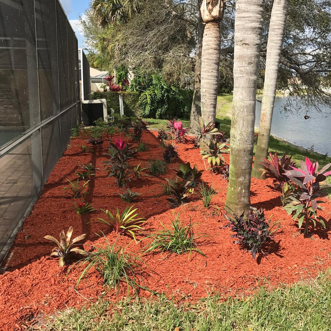 Planting