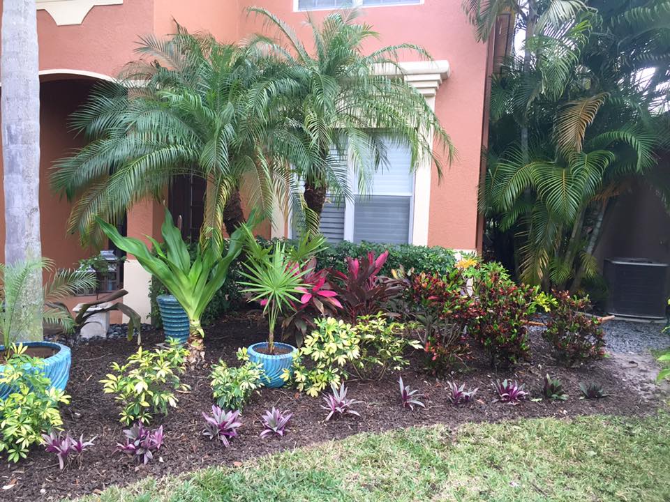 Planting
