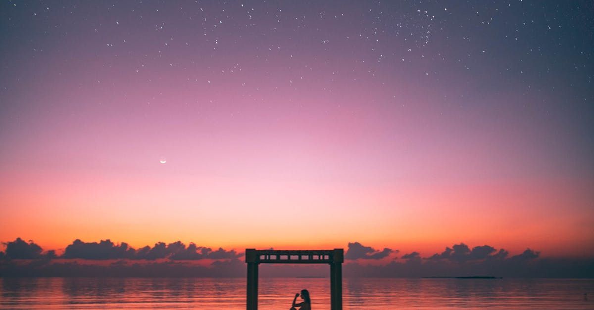 Silhouette of person playing saxophone under a starlit, pink and orange sky over calm water showing elegance.