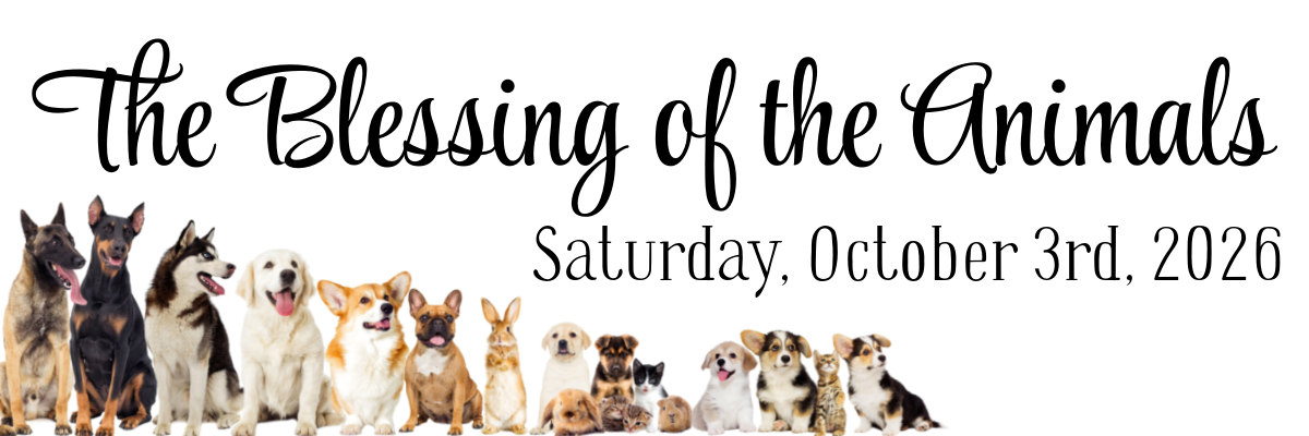 The Blessing of the Animals