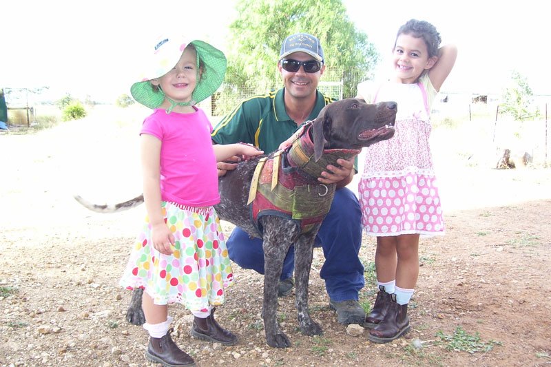 Duncans Pig Dog Collars Australia Best Protection For Your Mate