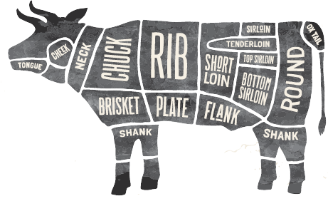 A diagram of the different cuts of beef on a white background.