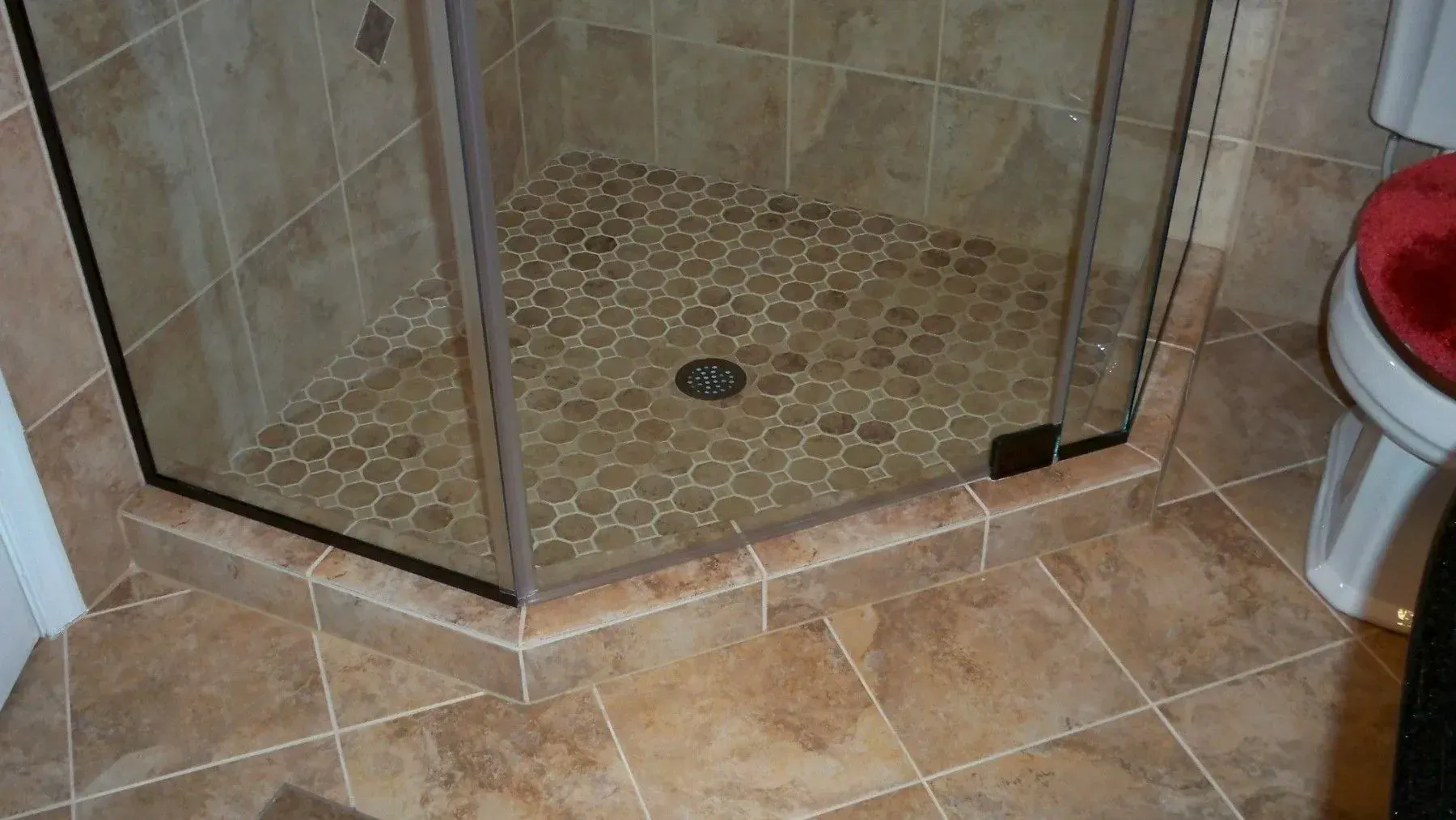 A bathroom with a walk in shower and a toilet.