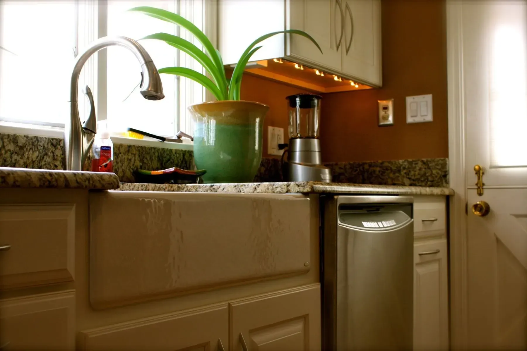 A kitchen sink with a potted plant on top of it
